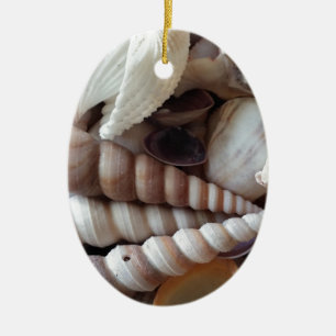 Exotic Seashells Collection, Summer Beach Keramikornament