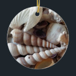 Exotic Seashells Collection, Summer Beach Keramikornament<br><div class="desc">Exotic Seashells Collection,  Summer Beach</div>