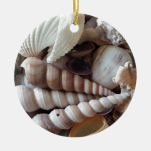 Exotic Seashells Collection, Summer Beach Keramikornament