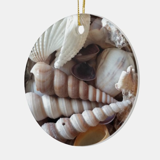 Exotic Seashells Collection, Summer Beach Keramikornament (Links)
