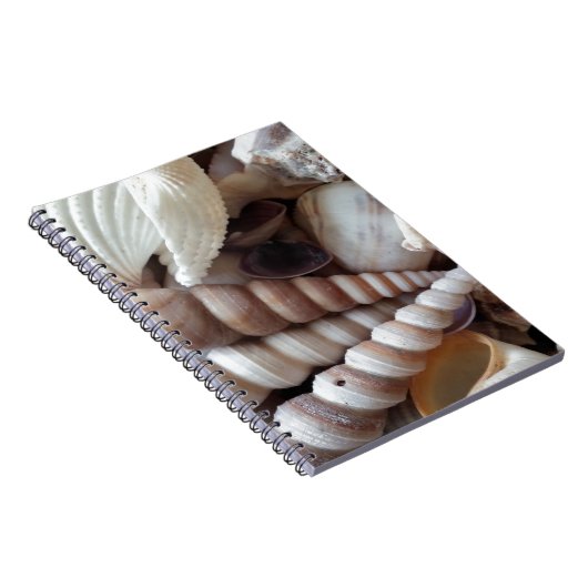 Exotic Seashells Collection, Summer Beach Notizblock (Rechte Seite)