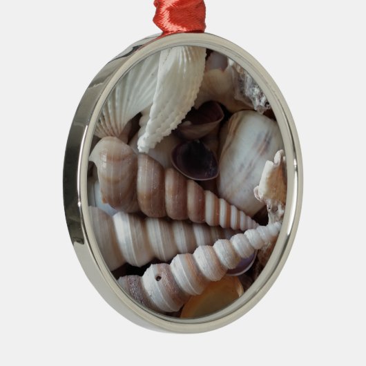 Exotic Seashells Collection, Summer Beach Ornament Aus Metall (Rechts)