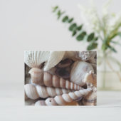 Exotic Seashells Collection, Summer Beach Postkarte (Stehend Vorderseite)