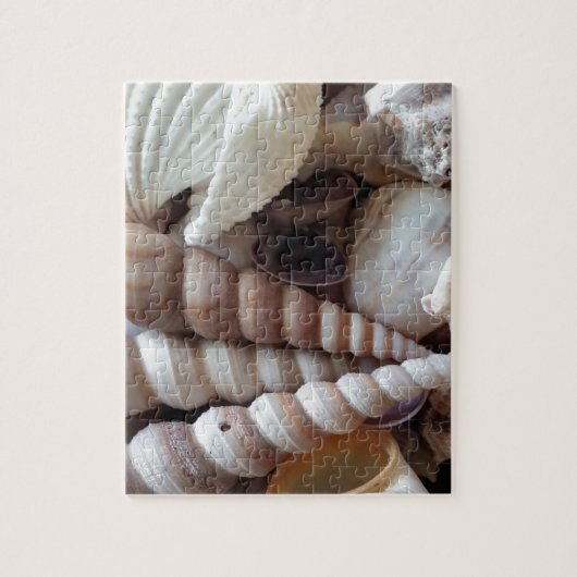 Exotic Seashells Collection, Summer Beach Puzzle (Vertikal)