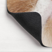 Exotic Shorthair (2,5 Jahre alt) Mousepad (Ecke)