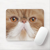Exotic Shorthair (2,5 Jahre alt) Mousepad (Mit Mouse)