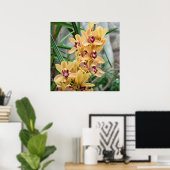 Exotic Star Orchids Poster (Heimbüro)
