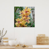 Exotic Star Orchids Poster (Küche)