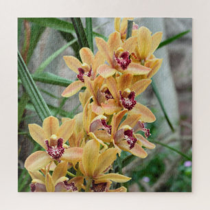 Exotic Star Orchids Puzzle