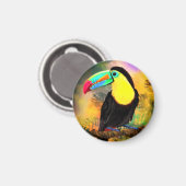 Exotic Toco Toucan Bird Magnet (Vorderseite/Rückseite)