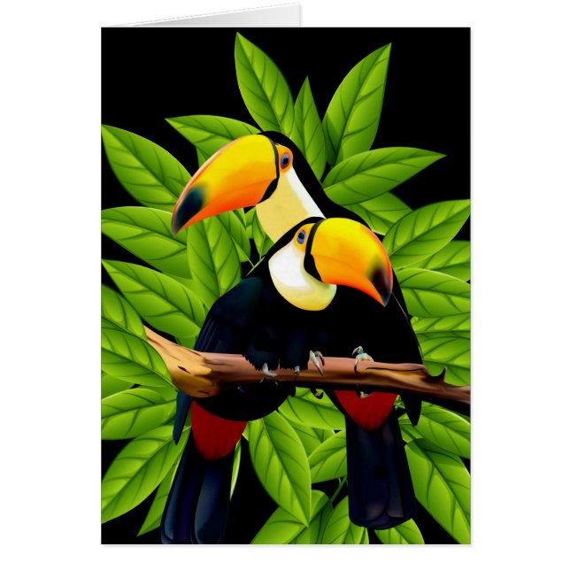 Exotic Toucans Note Cards (Vorne)
