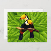 Exotic Toucans Postkarte (Vorne/Hinten)