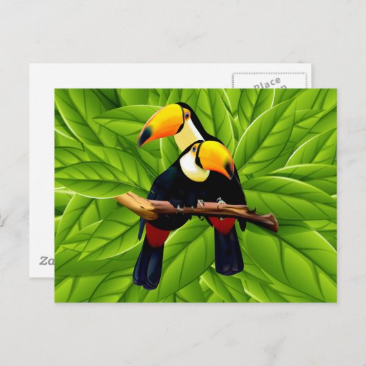 Exotic Toucans Postkarte (Vorne/Hinten)