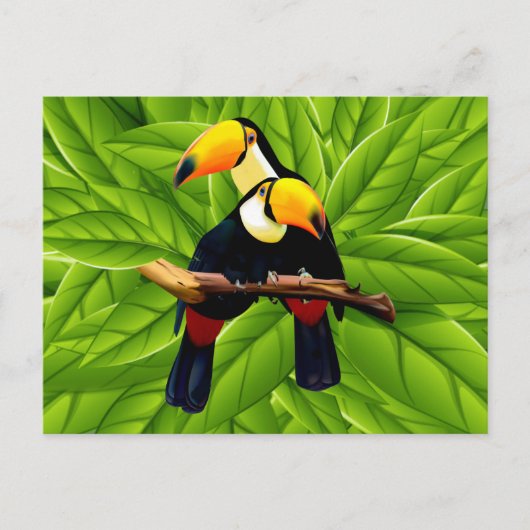 Exotic Toucans Postkarte (Vorderseite)