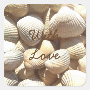 Exotic Tropical Sea Muschel Summer Beach Fotografi Quadratischer Aufkleber