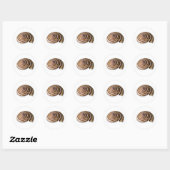 Exotic Tropical Sea Shells - Coastal Nature Collec Runder Aufkleber (Blatt)