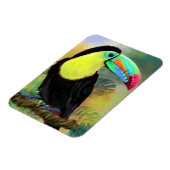 Exotic Tropical Toco Toucan Bird Magnet Geschenk (Linke Seite)