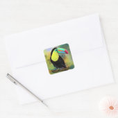 Exotic Tropical Toco Toucan Bird - Malerei Mignon Quadratischer Aufkleber (Umschlag)
