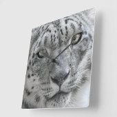 Exotic White Snow Leopard Quadratische Wanduhr (Winkel)