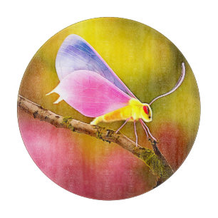 Exotic Winged Beauty Design Schneidebrett