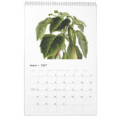 Exotics 2015 kalender (Mär 2027)