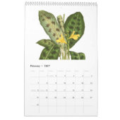 Exotics 2015 kalender (Feb 2027)