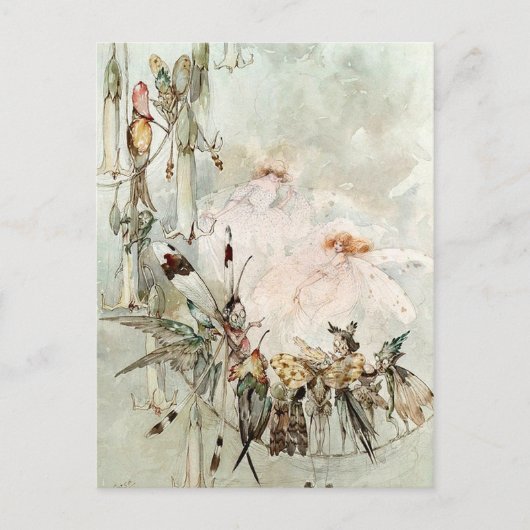 "Exotics at Play" Postkarte (Vorderseite)