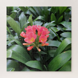 exotisch, Blatt, Sommer, Puzzle, floral, tropisch, Puzzle
