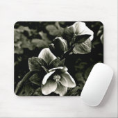 EXOTISCHE BAUM-BLUMEN IN SCHWARZWEISS MOUSEPAD (Mit Mouse)