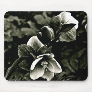 EXOTISCHE BAUM-BLUMEN IN SCHWARZWEISS MOUSEPAD