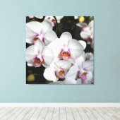 Exotische Blume aus weißer Orchidee. Blumenfotogra Leinwanddruck (Insitu (Holzboden))