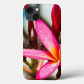 Exotische Blume-Hintergrund-Plumeria blüht Case-Mate iPhone Hülle (Rückseite)