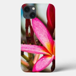 Exotische Blume-Hintergrund-Plumeria blüht Case-Mate iPhone Hülle