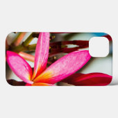 Exotische Blume-Hintergrund-Plumeria blüht Case-Mate iPhone Hülle (Rückseite (Horizontal))