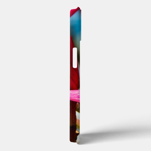 Exotische Blume-Hintergrund-Plumeria blüht Case-Mate iPhone Hülle (Rückseite / Rechts)