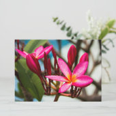 Exotische Blume-Hintergrund-Plumeria blüht Einladung (Stehend Vorderseite)