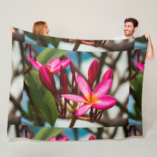 Exotische Blume-Hintergrund-Plumeria blüht Fleecedecke