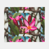 Exotische Blume-Hintergrund-Plumeria blüht Fleecedecke (Vorderseite (Horizontal))