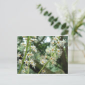 Exotische Blume in Irland Postkarte (Stehend Vorderseite)