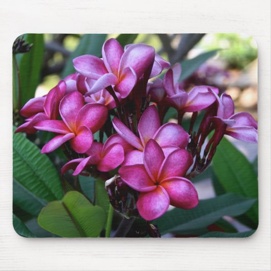 Exotische Blume, Mousepad (Vorne)