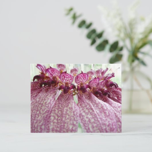 exotische Blume Postkarte (Stehend Vorderseite)