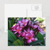 Exotische Blume, Postkarte (Vorne/Hinten)