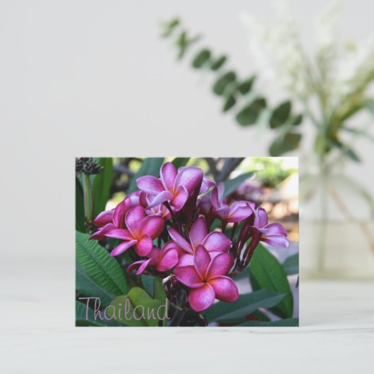 Exotische Blume, Postkarte (Stehend Vorderseite)