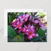 Exotische Blume, Postkarte (Vorne/Hinten)