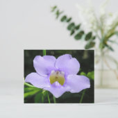 Exotische Blume Postkarte (Stehend Vorderseite)