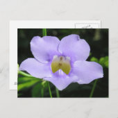 Exotische Blume Postkarte (Vorne/Hinten)