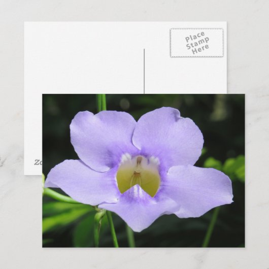 Exotische Blume Postkarte (Vorne/Hinten)