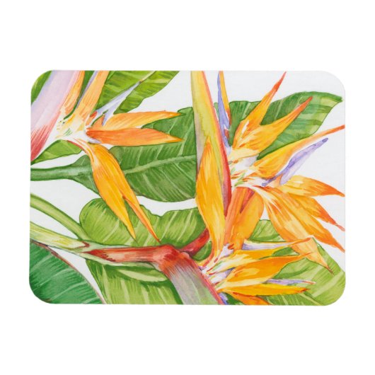 Exotische Blume Wasserfarbe Magnet (Horizontal)