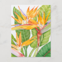 Exotische Blume Wasserfarbe