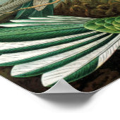 Exotische Farbige Vögel Vintag drucken Poster (Ecke)